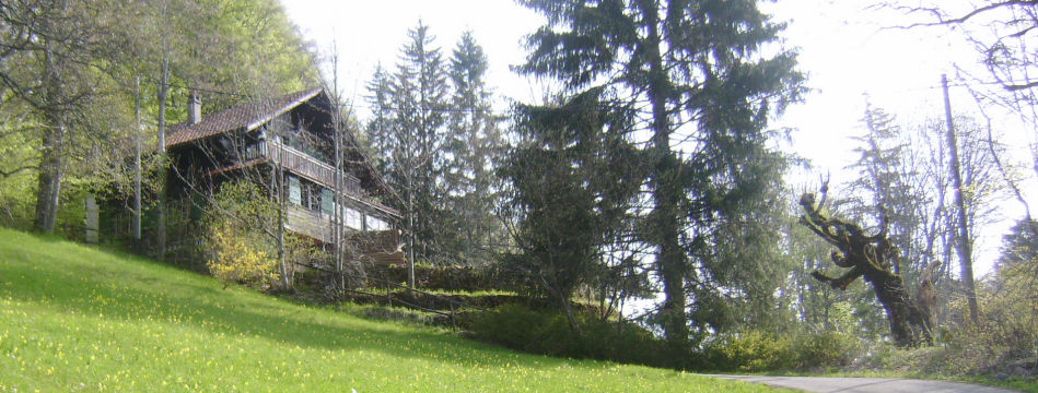 Chalet idyllique et bruit de la route cantonale ..